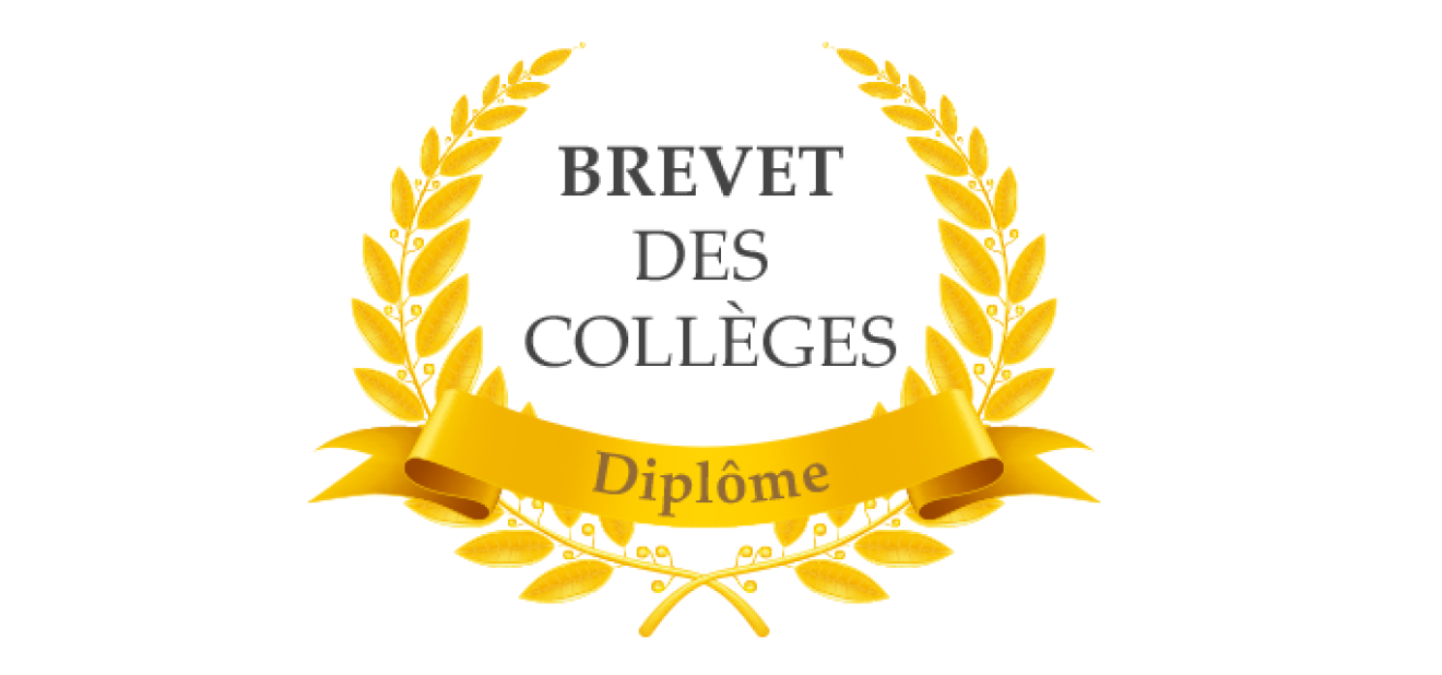 Résultats du Brevet Français – 100 % de réussite pour le Lycée Iman !