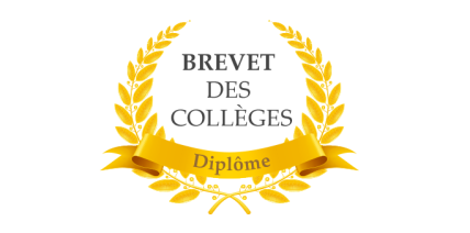 Résultats du Brevet Français – 100 % de réussite pour le Lycée Iman !